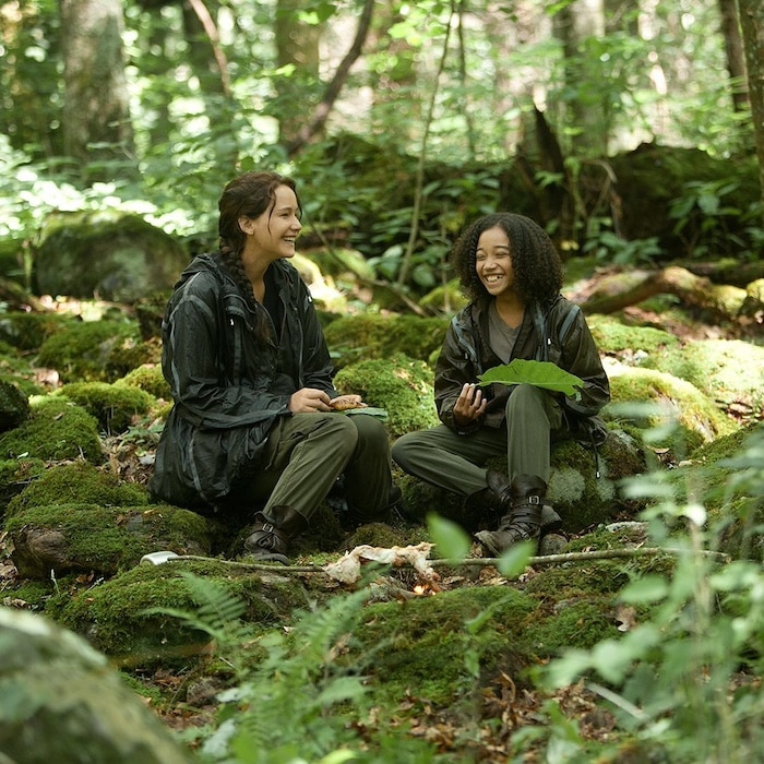 QUIZ! Live a day in The Hunger Games to reveal which character you are