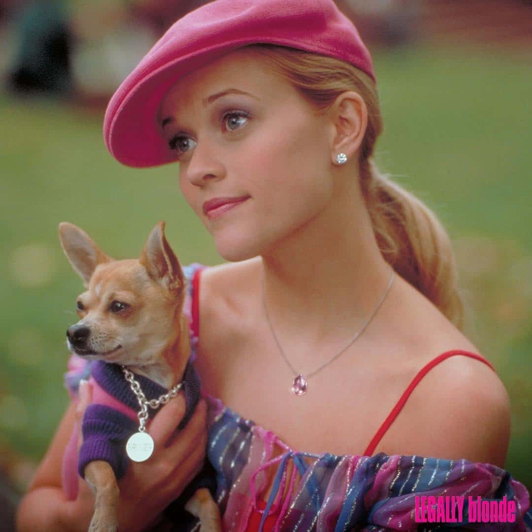 QUIZ! Do you need a Legally Blonde rewatch?