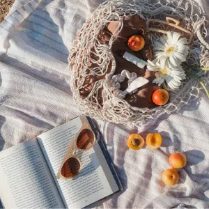 A sunlit picnic scene with a net bag, daisies, sunglasses, an open book from your TBR, apricots, and a striped blanket arranged neatly on the ground.